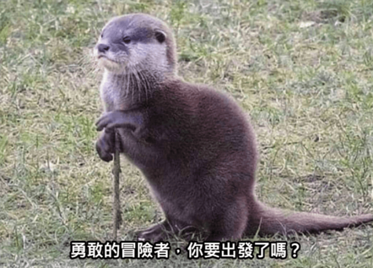 理財的事前預備 Part 1 — 80/20 法則