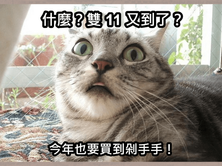 《理財蛋幾壘》雙十一到了，來聊聊消費心理學