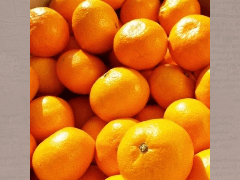 買基金就像挑橘子，各個金玉其外，小心敗絮其中。