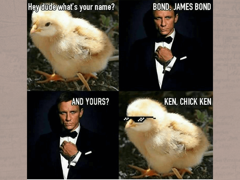 債券 (Bond)，真是棒的。