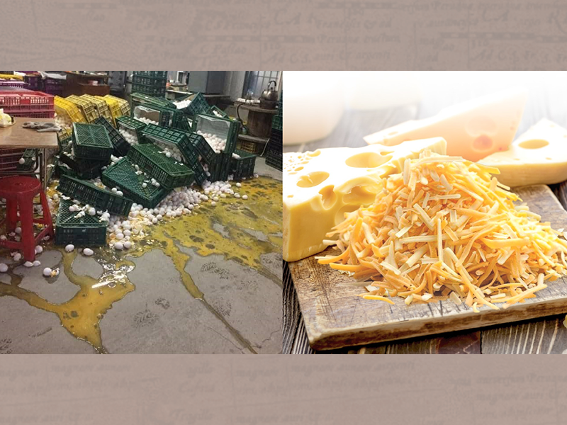 地震讓雞蛋全碎了？還好同時準備了不怕碎的乳酪絲，今天不吃蛋包飯吃焗烤！