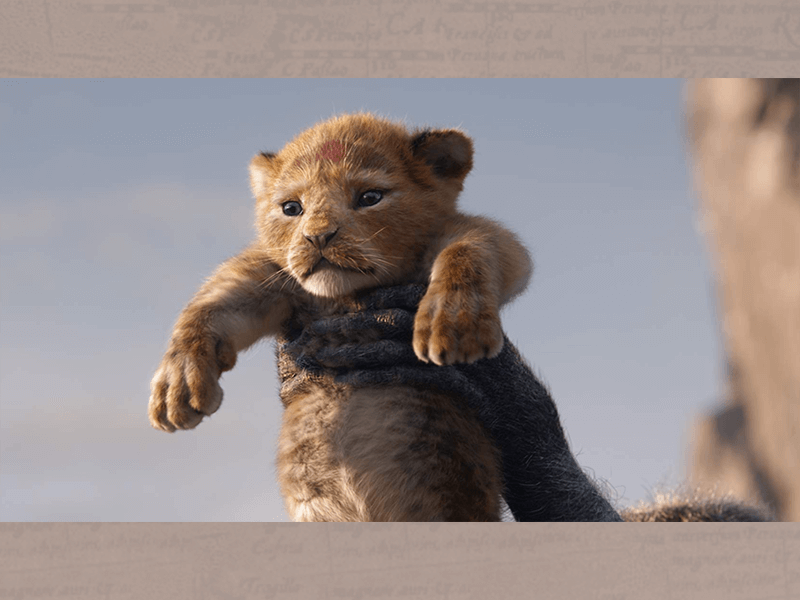 啊~~~~吃飯呀~~~~爸爸的吉娃娃~